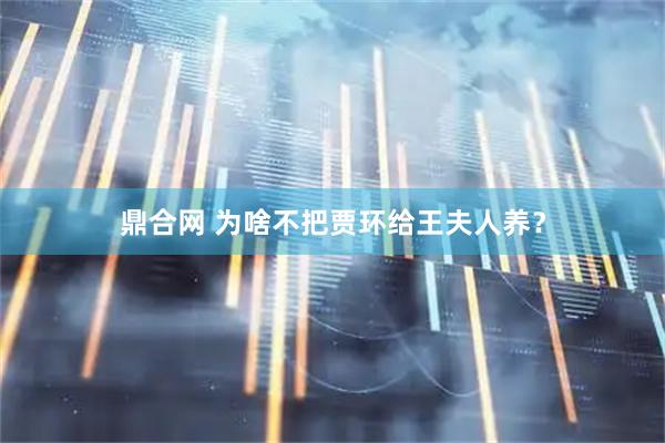 鼎合网 为啥不把贾环给王夫人养？