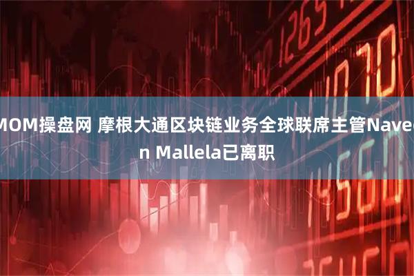 MOM操盘网 摩根大通区块链业务全球联席主管Naveen Mallela已离职
